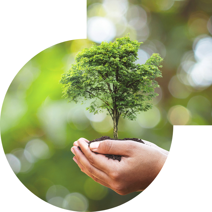 关怀人类、文化、环境与社会